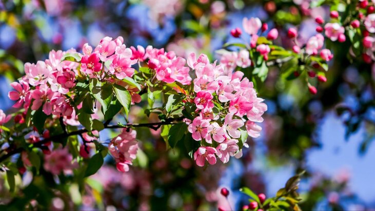 ����� � ������ ����� � ������� ����� ������ � 1879 ����