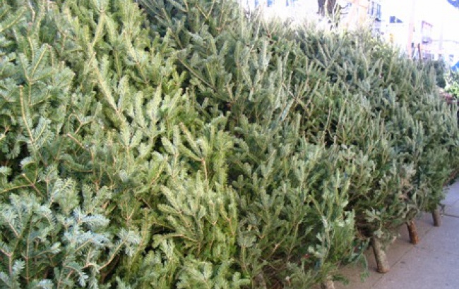 � ��� ������ � ������� �������� 16 ������� �������