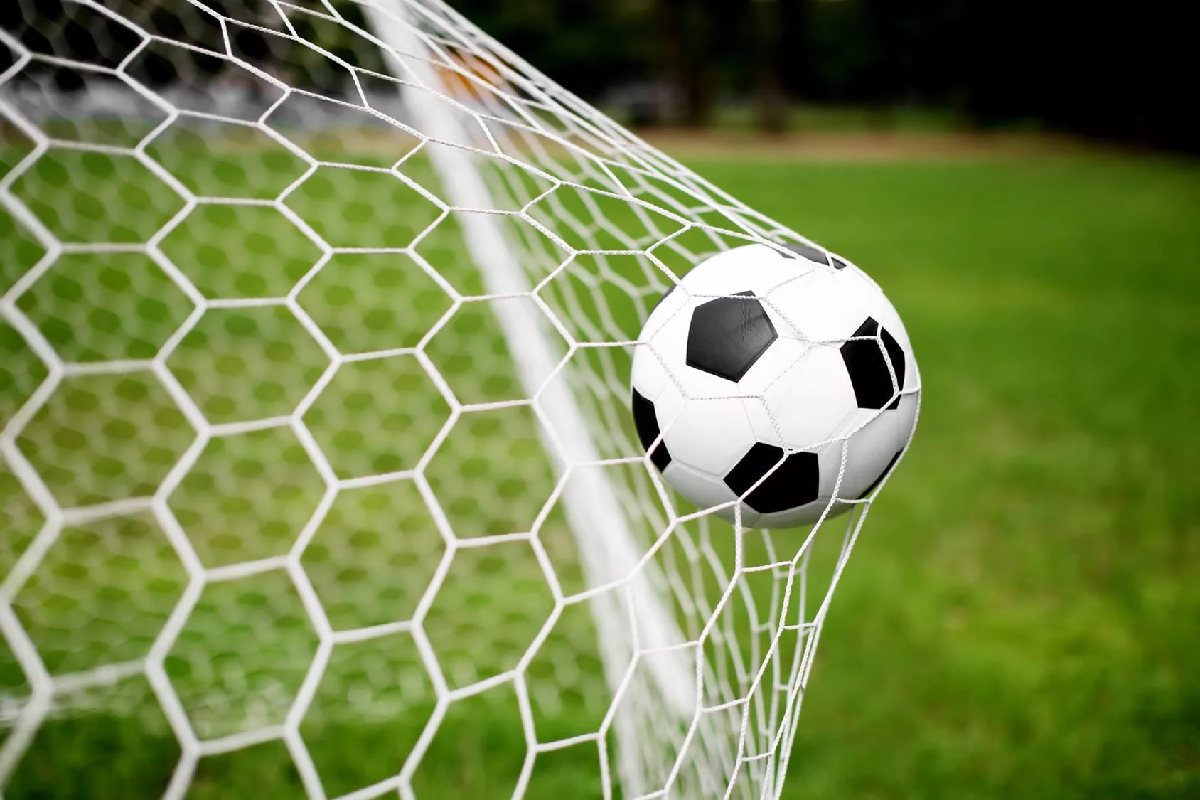 ������ �Chertanovo Cup� ������� �� ����� ���������� � 2 �� 6 ������