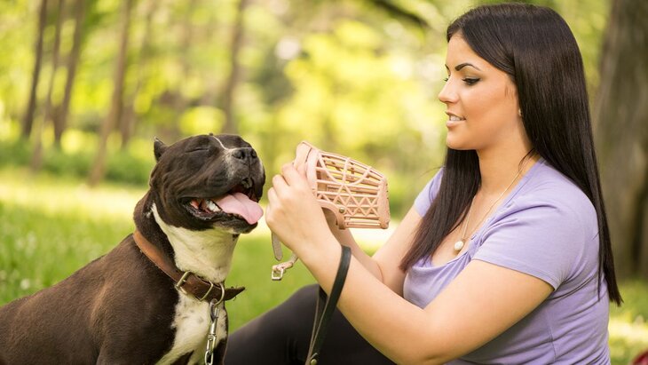 � ������� ������ ������������ � ������� �� ��������� ������ ������ ������� �����