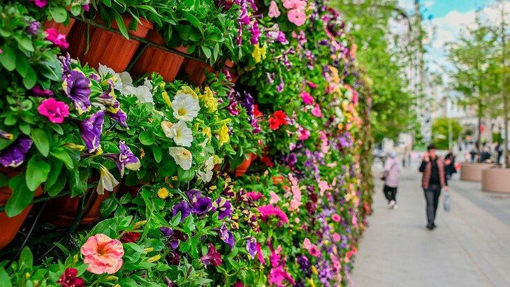 � ������ �������� ������� ������ ��������� "���� � �����"