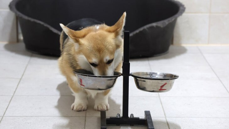 ���������� ������ ��� �������� � ������������� ������ � �� � 1 ��������