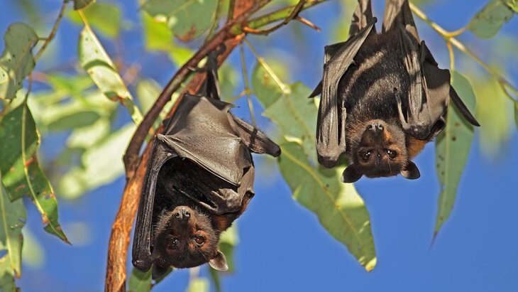 ������� ���� ���������� � ������