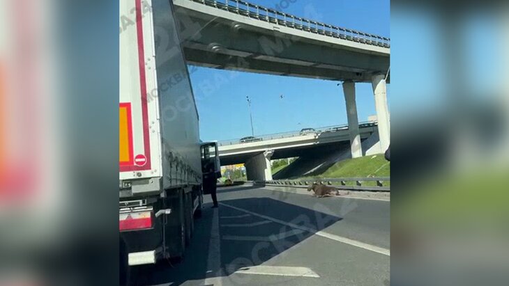 �������� �������� ��������� �� ���� ��-�� ��� � �����