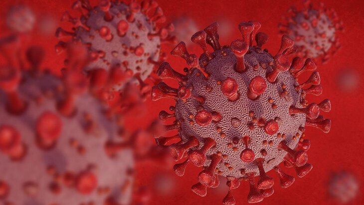 ��������������� ������ �������� � ������������� � �� ����������