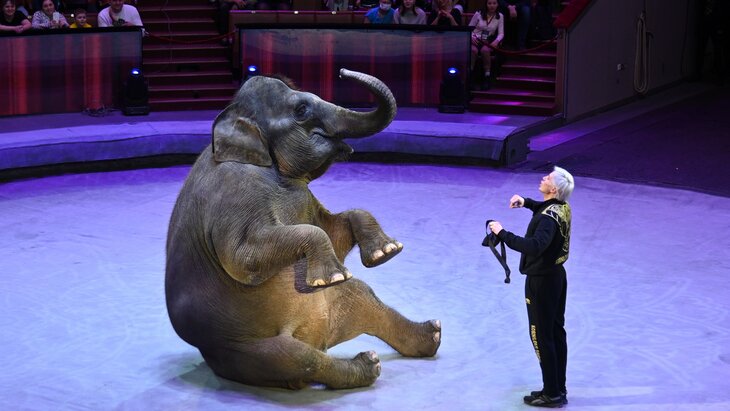 � ������� ������ ������������ � ������� ������������� �������� � ������