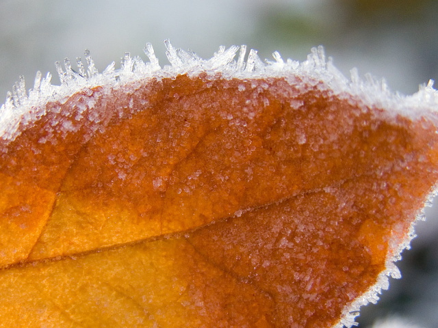 � ������ ��������� �������� ����� �� ����������� 