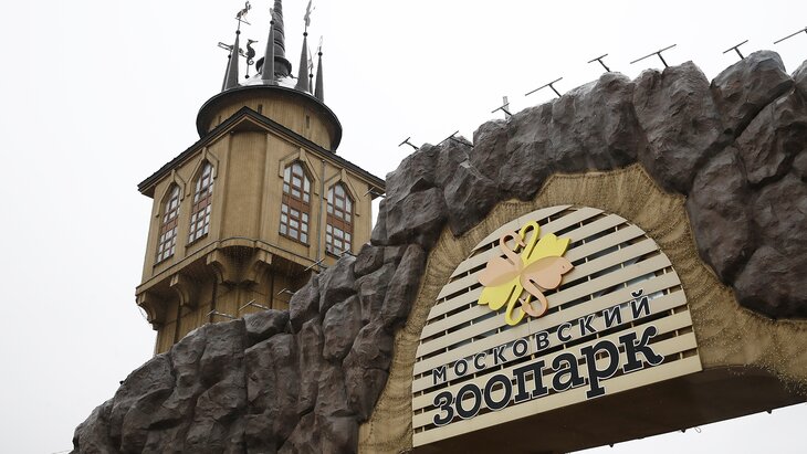 ������� ������� �������� � ���������� ������� �� �����