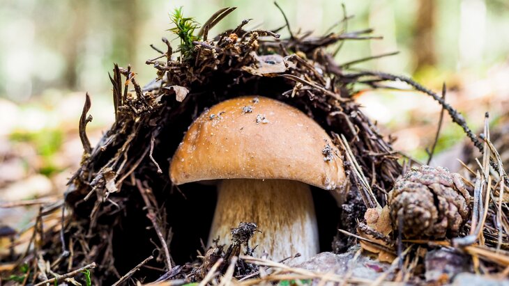 ������� ���������� ���������, ����� ����� ����� ����� � ������������ ����� � �������