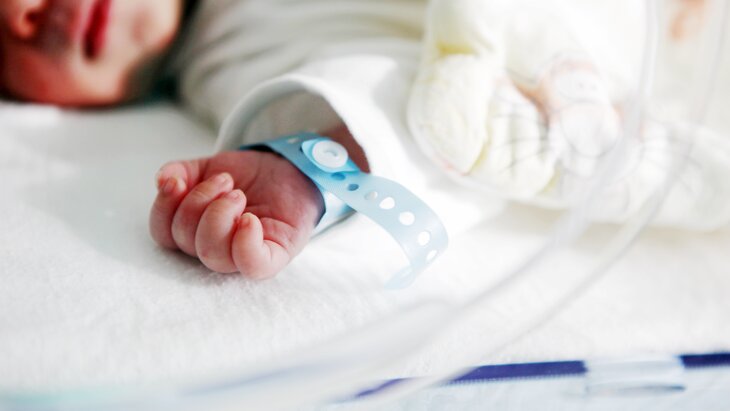 �������� ����������, ������ ������� ����� �������� ��������� 29 ������� 2024 ����