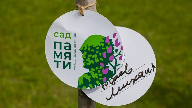 ����� "��� ������" ������ � 83 ������� � 2025 ����