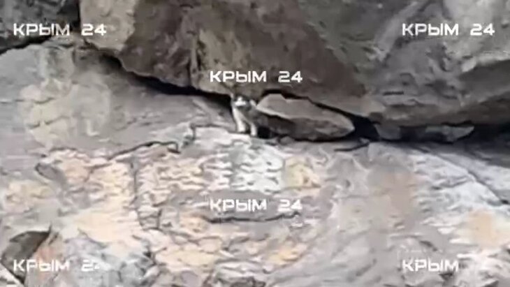 ����� ����, ������� �������� � ������ � �����, ������� � ����