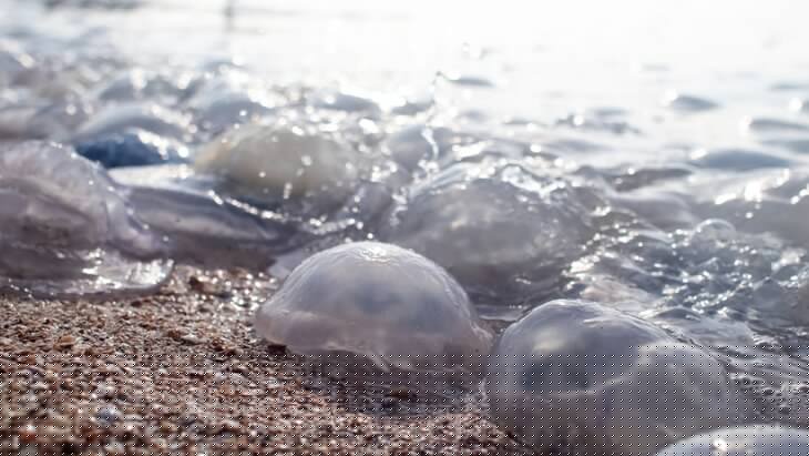 ���������� ������� ������������ �� ��������� ����� � ������