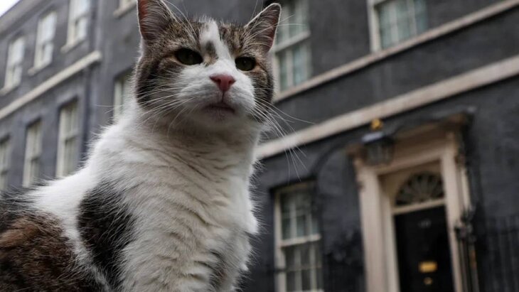 ������� �������� �������� ����� ����������� ���� ����� � �������-�����