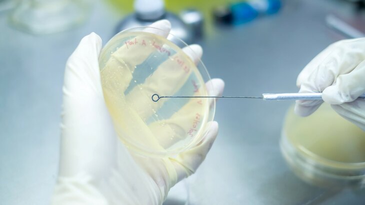 ����������� ���������� �������� ������� � ������� ����� �� �����