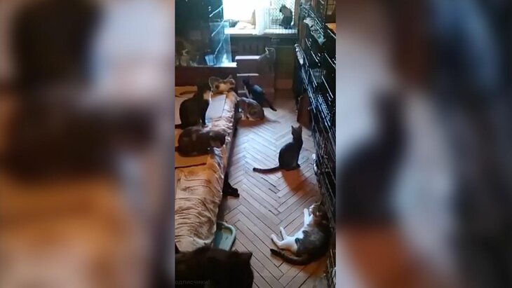 ������� ��� �������, ��� ��������� ���������� � ����� �������� ����� 90 �����