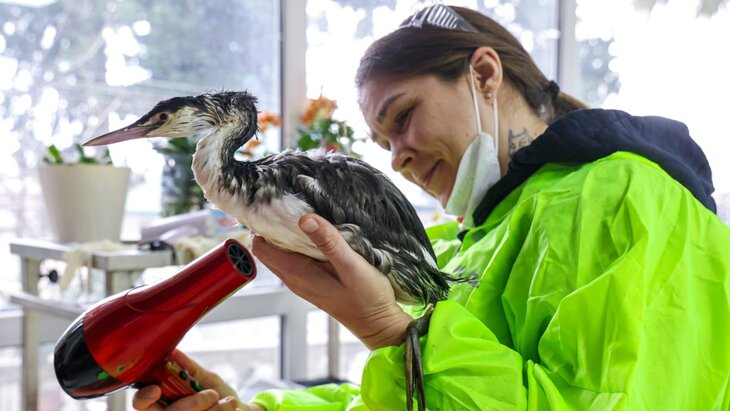 �� � ��������� � ���������� ������� ������� �������������� ����� ��������� ����