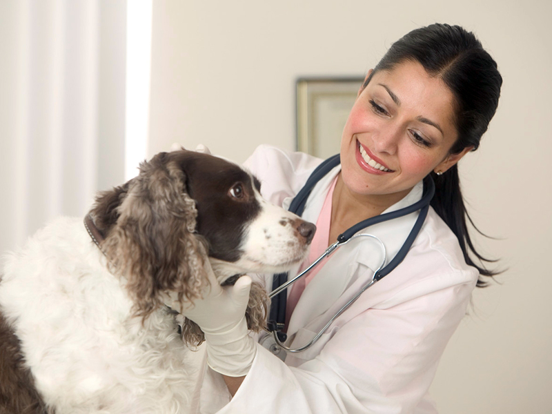 � ����������� ������ � ������� ���� ����� ����� ��������� ������� ��������