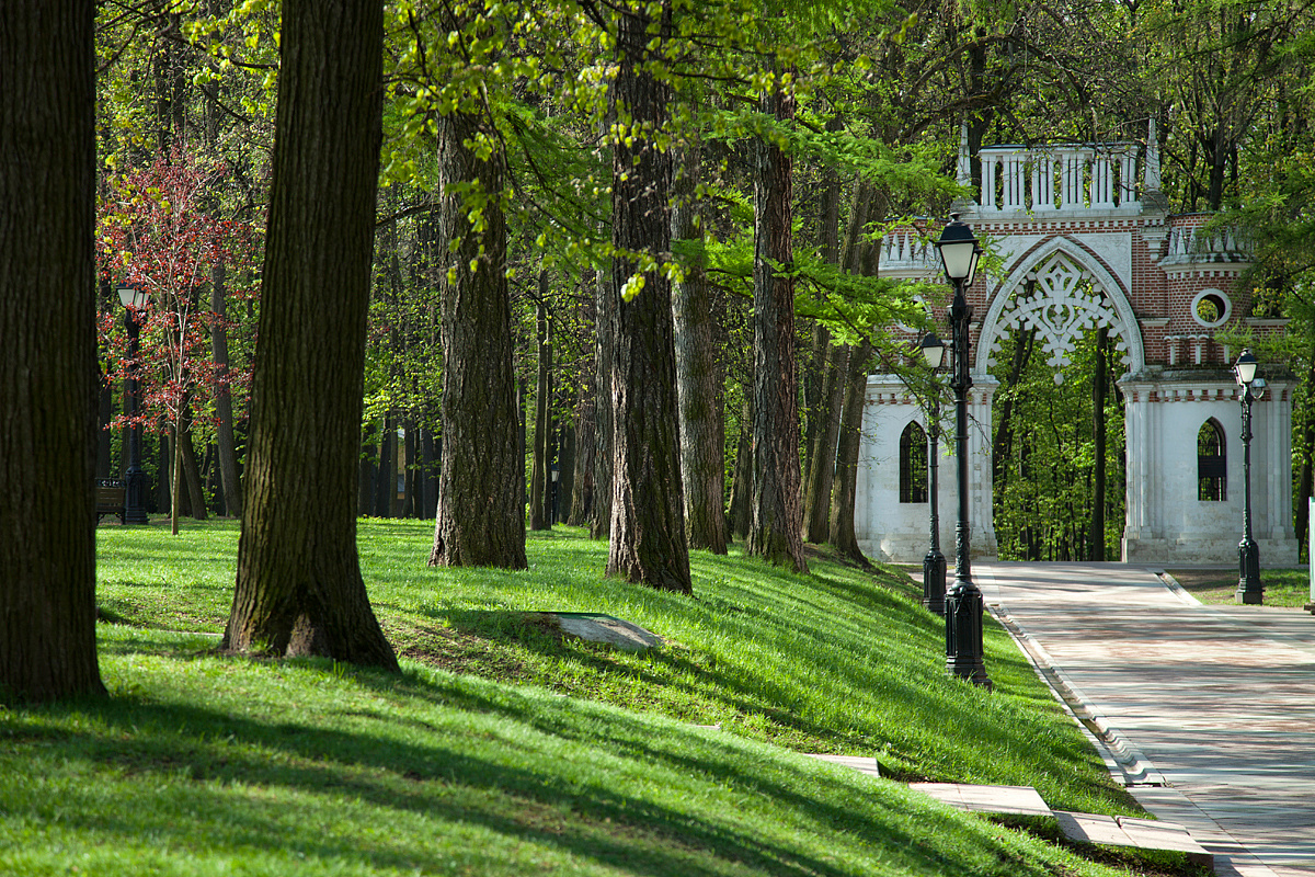 дворец в парке царицыно