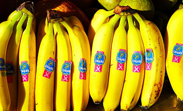Экспортеры бананов хотят улучшить торговлю с Россией 