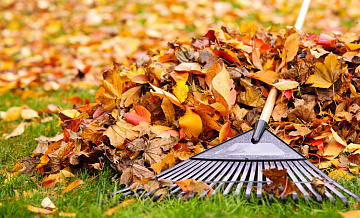 В ЮАО жители выступили «за» уборку опавших листьев сразу