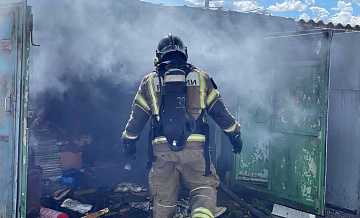 Пожарные бригады ЮАО успешно ликвидировали возгорание в Бирюлёво Западном